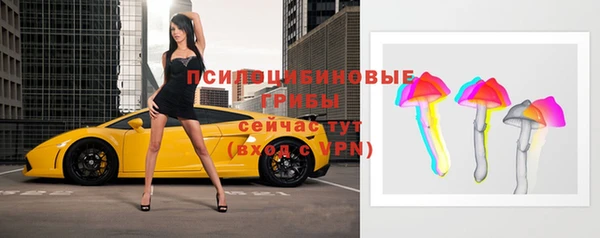 дмт Алзамай