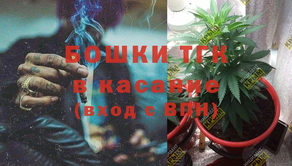 шишки Абинск
