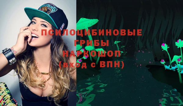 шишки Абинск