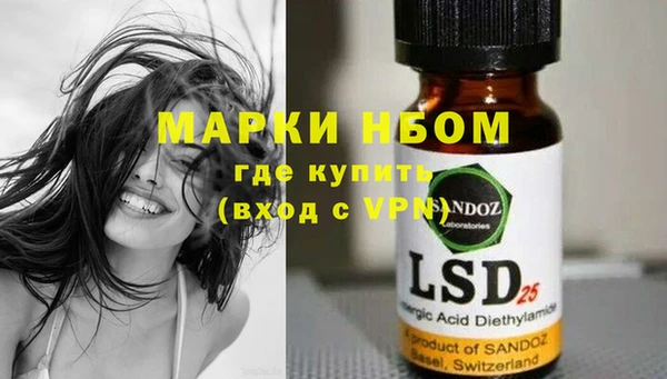шишки Абинск
