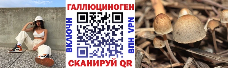 Галлюциногенные грибы мухоморы  Куртамыш 